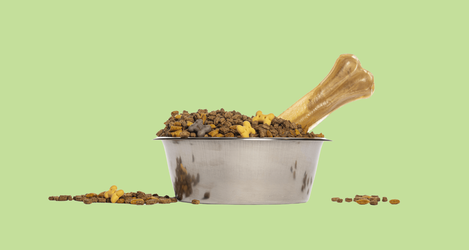 Rawhide chew placed in a dog food bowl, highlighting concerns about whether rawhide is safe for dogs.