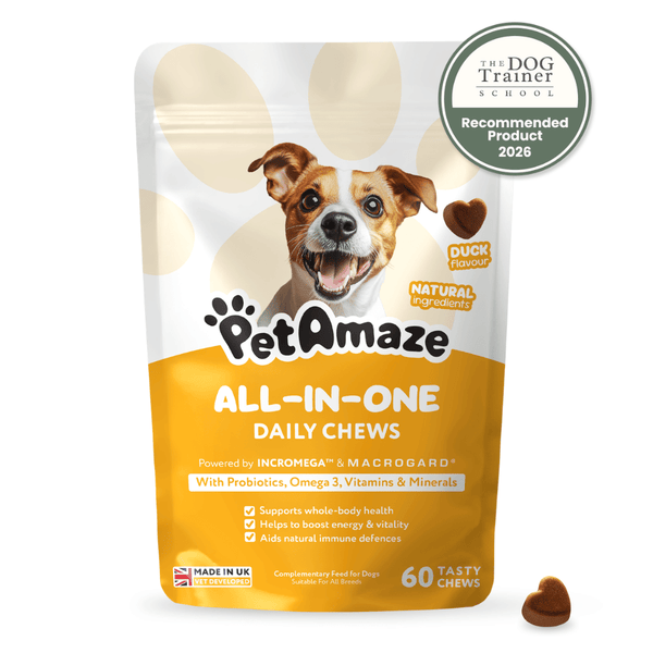 All-in-One Daily Chews – PetAmaze