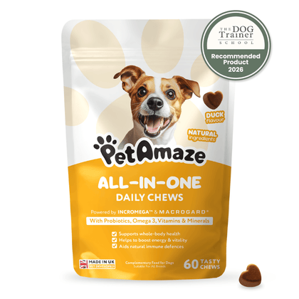 PetAmaze All-in-One Daily Chews packaging with a dog on the label and a 'The Dog Trainer School Recommended Product 2026' badge.