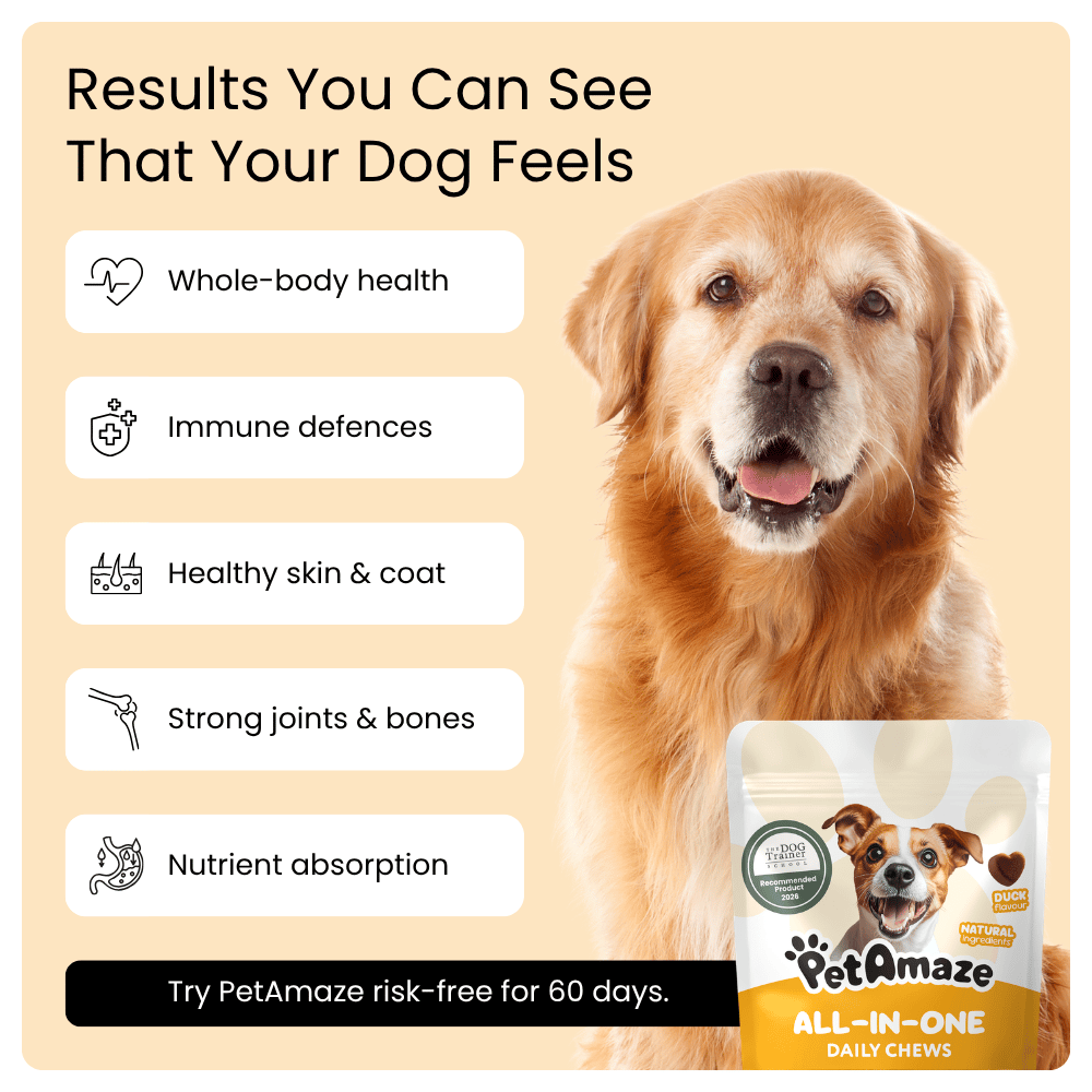 Dog with PetAmaze product packaging on a beige background