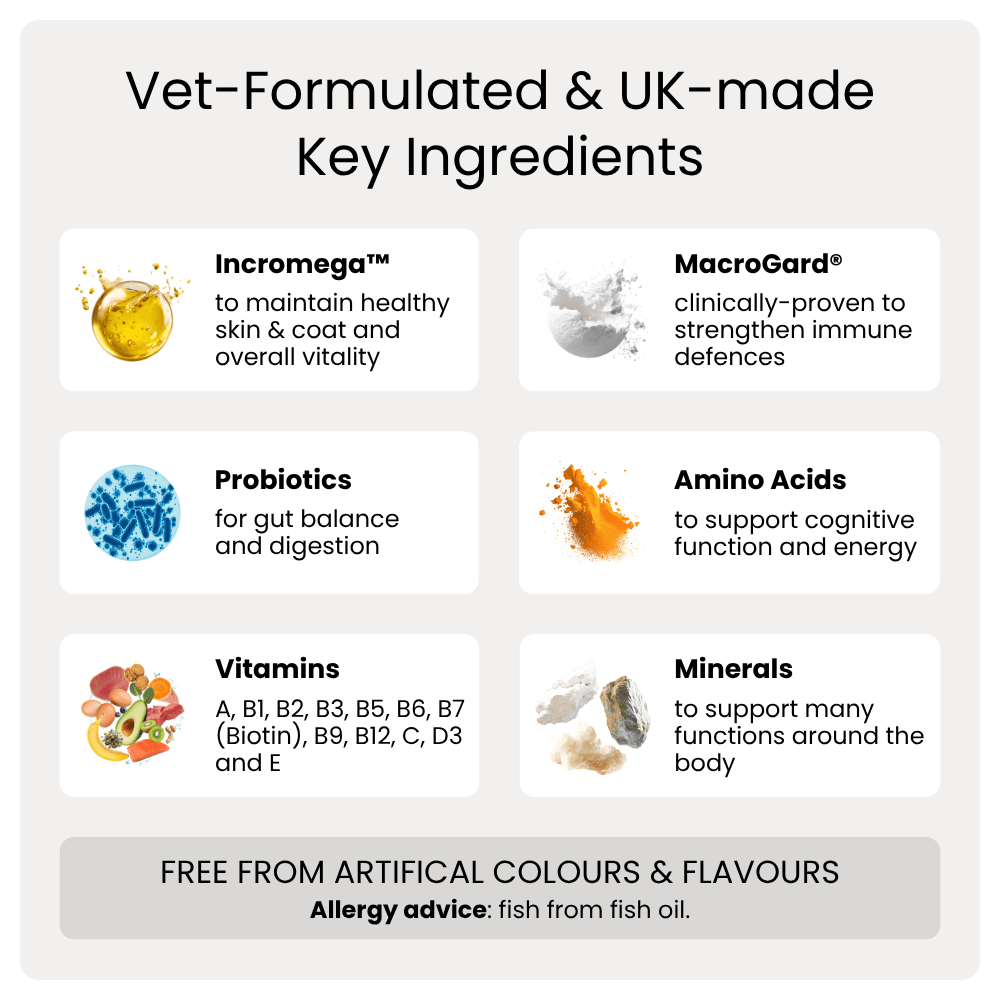 List of key ingredients in a product with icons and text on a white background