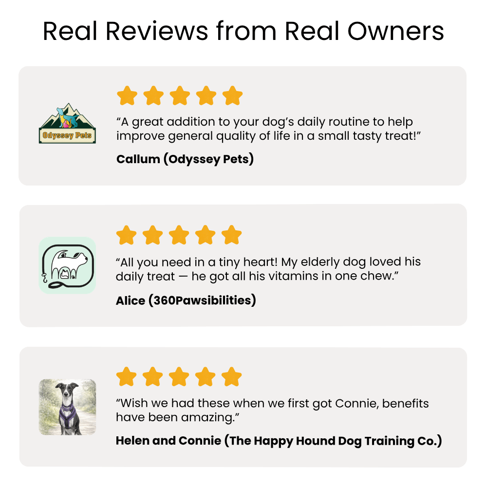 Reviews from real owners praising a product for dogs' quality of life and health benefits.
