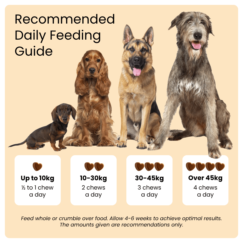 Dog feeding chart with different breeds and recommended daily chews for various weights on a beige background.