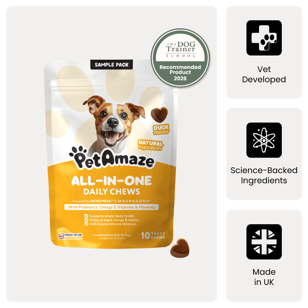 Package of Sample PetAmaze All-in-One Daily Chews for dogs with branding and certification logos on a white background.