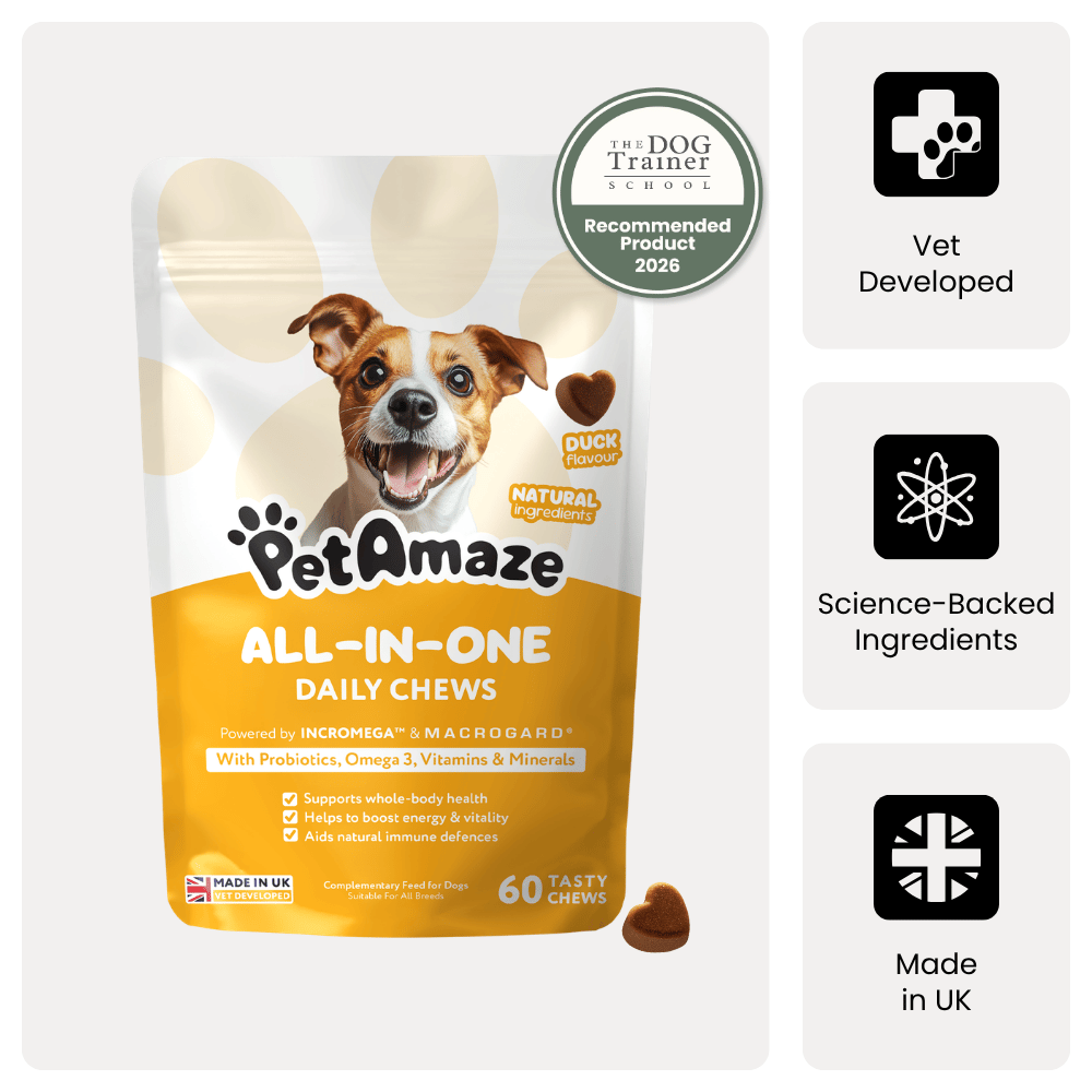 PetAmaze All-in-One Daily Chews packaging with a dog on the label, featuring icons and text about the product's features.