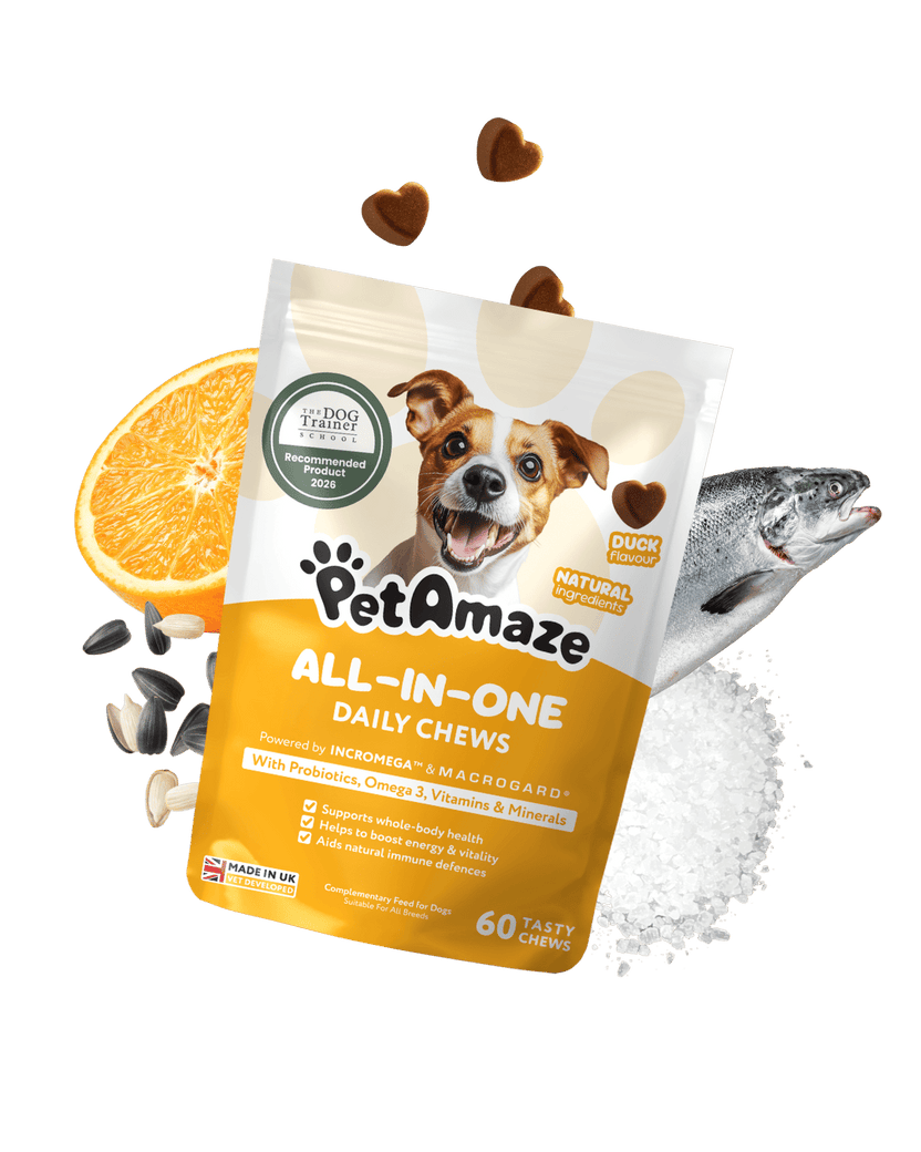 PetAmaze All-in-One Daily Chews packaging with a dog on the label against a white background