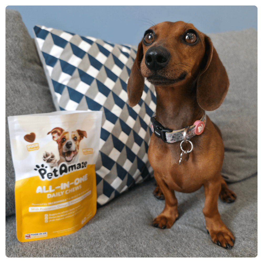 All-in-One Daily Chews