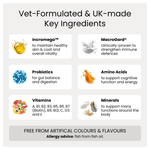 List of key ingredients in PetAmaze All-in-One Daily Chews with icons and text on a white background