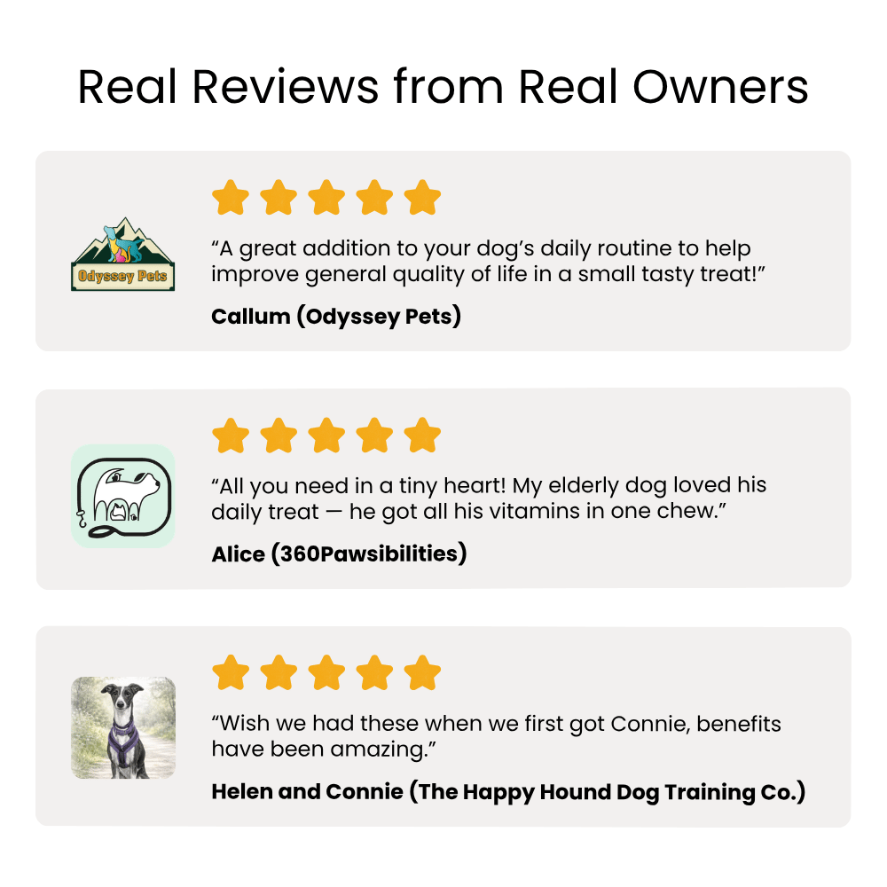 Reviews from real owners for a PetAmaze All-in-One Daily Chews, with ratings and quotes displayed.