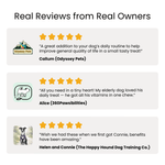 Reviews from real owners for a PetAmaze All-in-One Daily Chews, with ratings and quotes displayed.