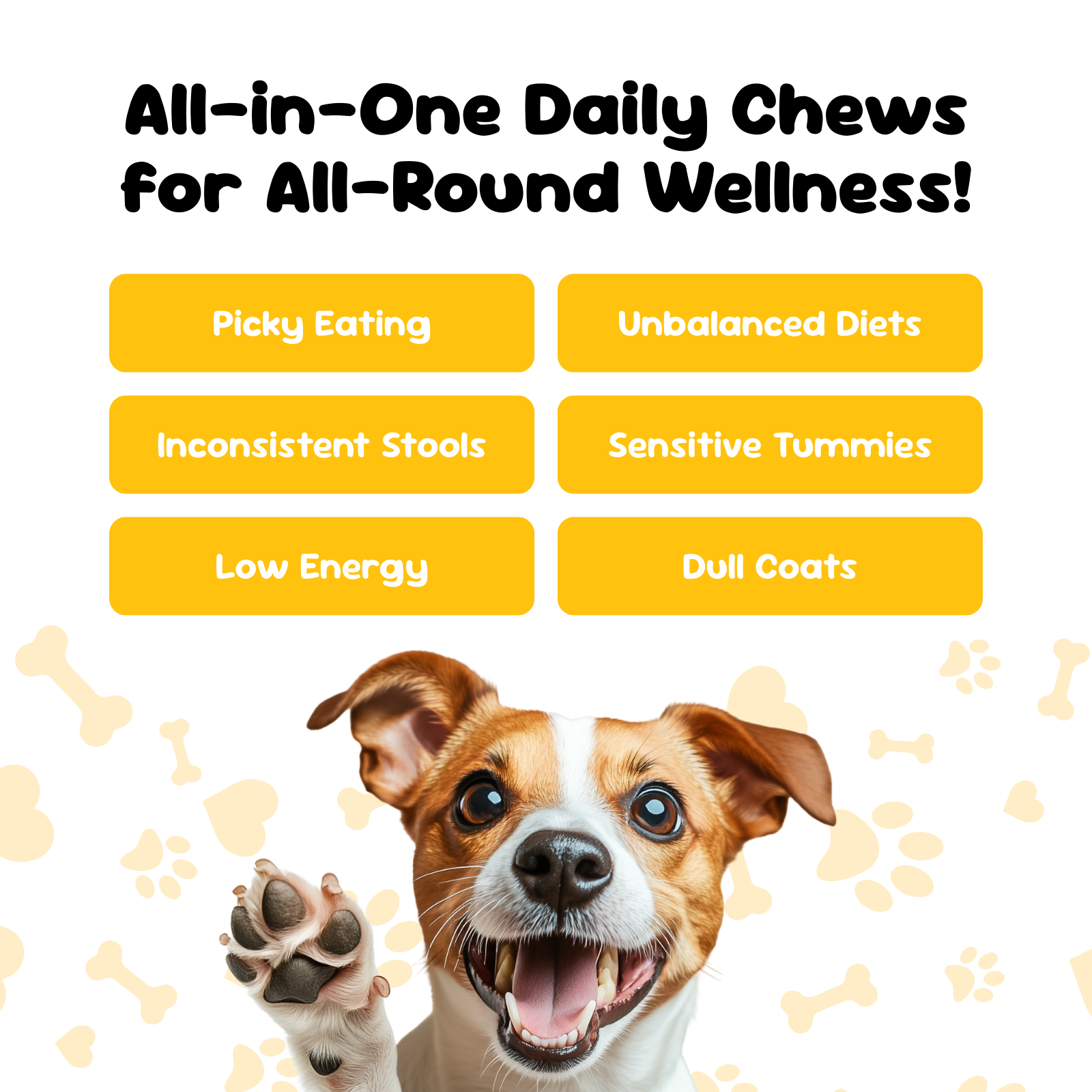 All in One Daily Chews benefits for picky eating, sensitive tummies, stool consistency, energy and coat health