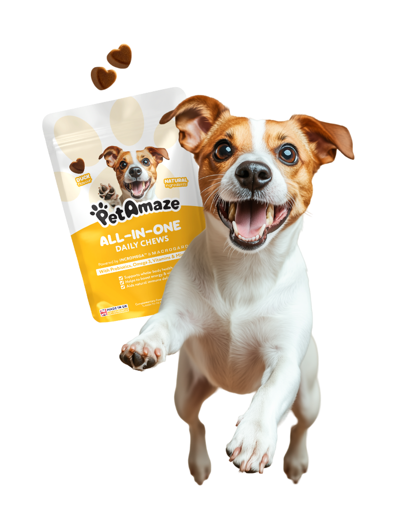Dog with a bag of PetAmaze All-in-One Daily Chews behind it with heart shaped chews spilling out