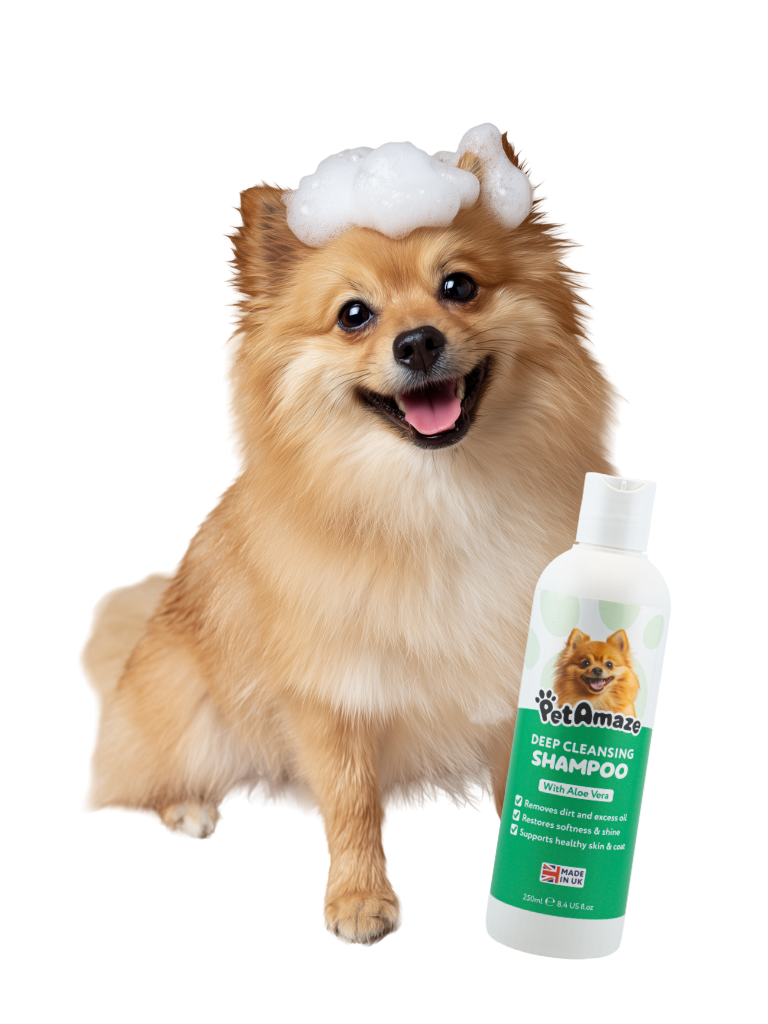 Dog with shampoo on head and a bottle of PetAmaze shampoo next to it on a white background