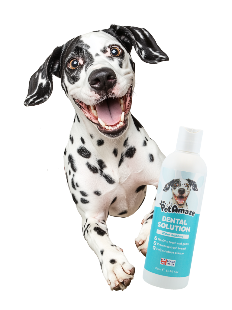 Dalmatian dog with a bottle of PetAmaze dental solution on a white background