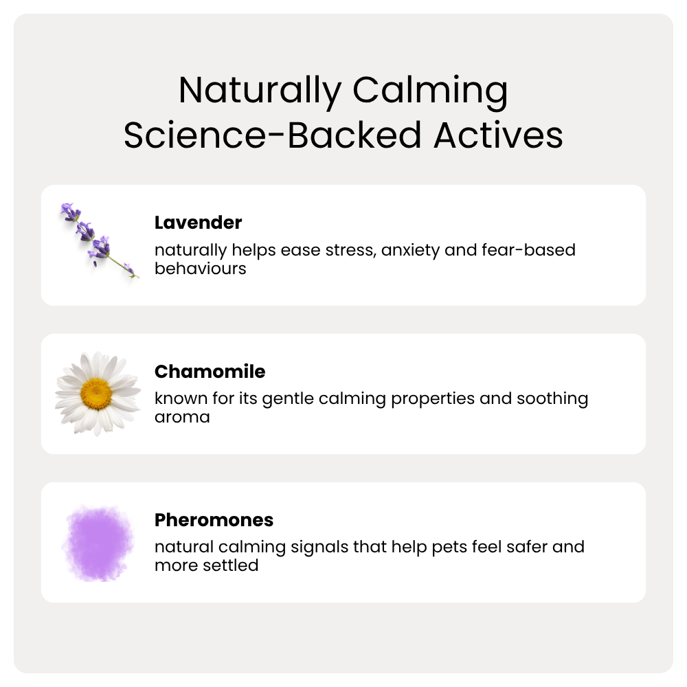 List of naturally calming science-backed actives with corresponding images and descriptions on a white background.