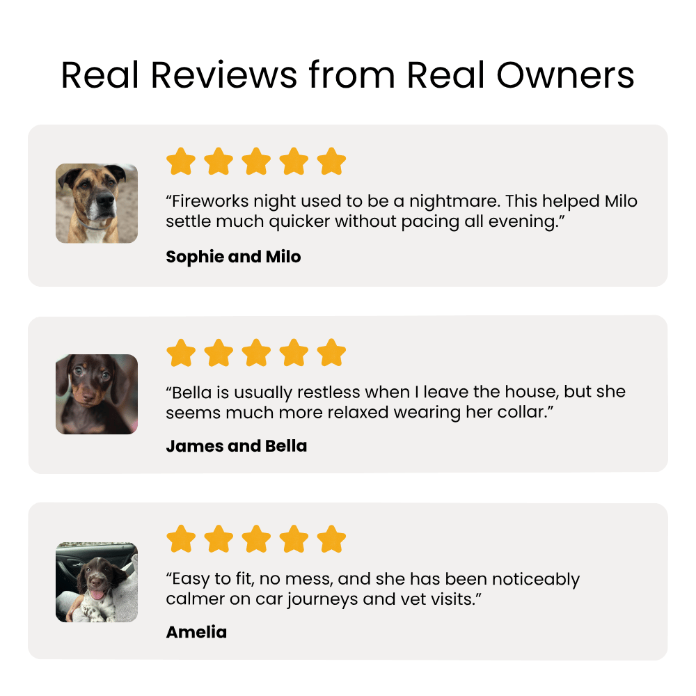 Reviews from real owners featuring images of dogs and their experiences with a product.