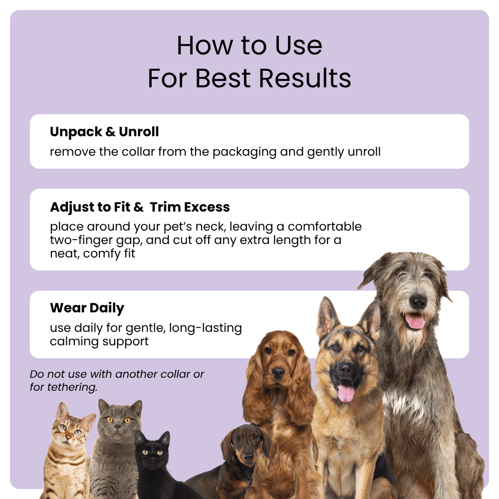 Instructions on how to use a product for pets with images of dogs and cats on a purple background.