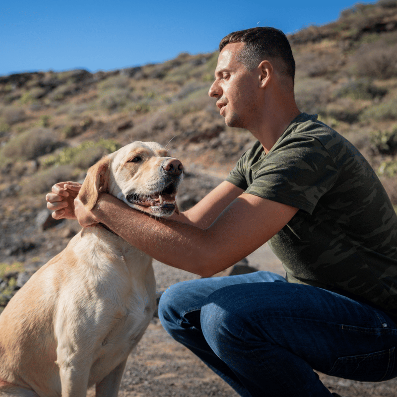 Man petting a dog outdoors with a mountainous background