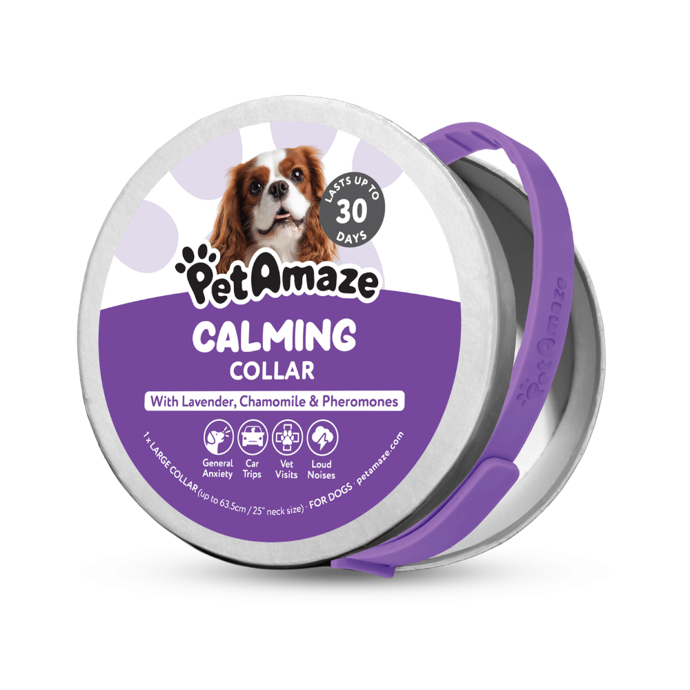 Calming Collar for Dogs