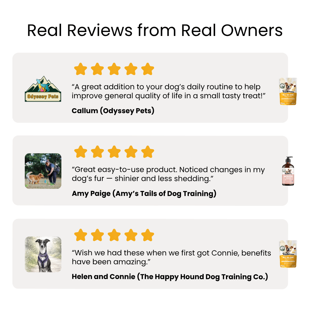 Real reviews for PetAmaze products with star ratings