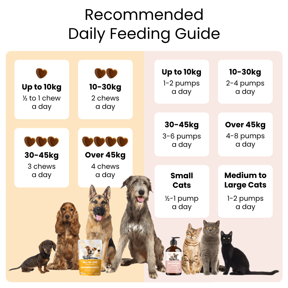 Feeding guide for dogs and cats with images of different breeds and recommended counts and dosages.