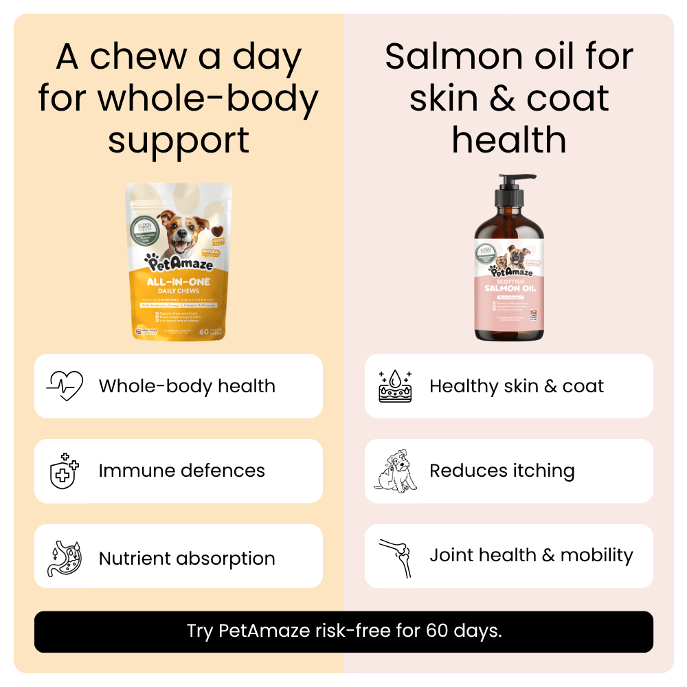PetAmaze product display with chew pack and salmon oil bottle on a beige and pink background.