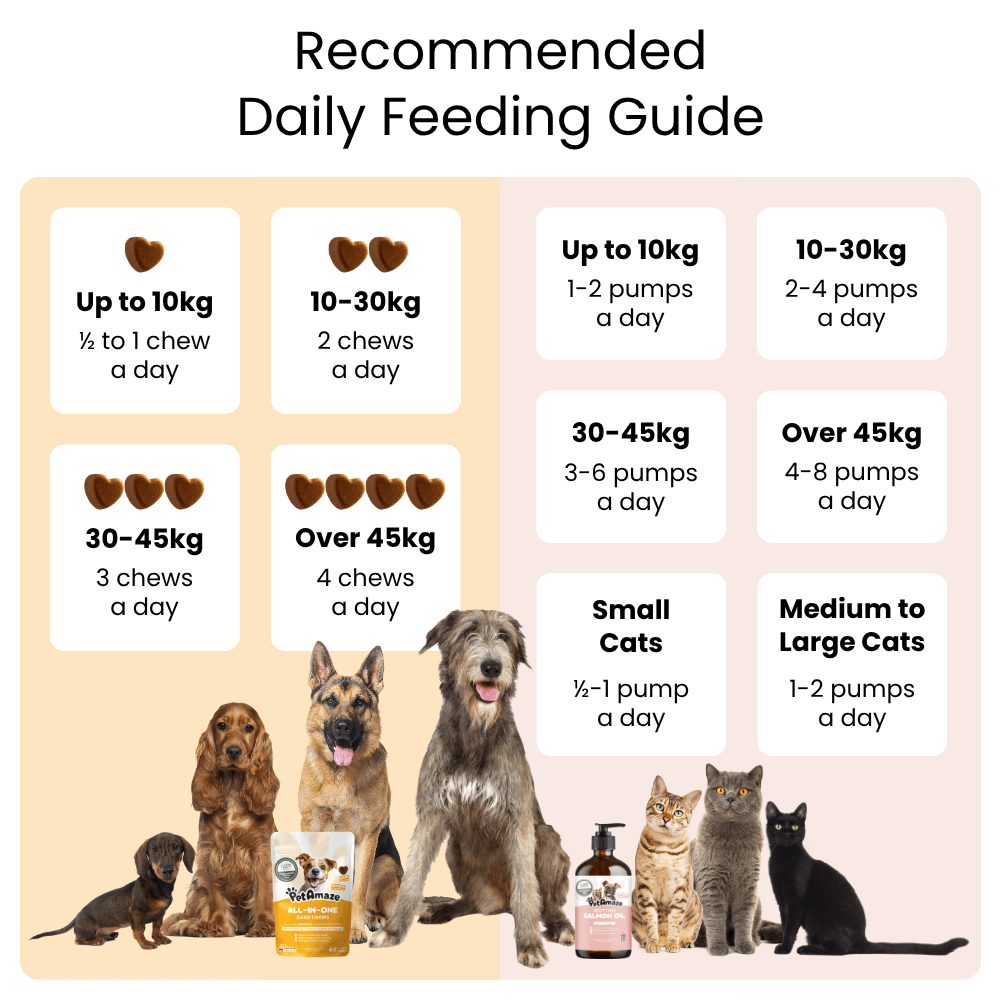 Feeding guide for dogs and cats with images of various pets and products.