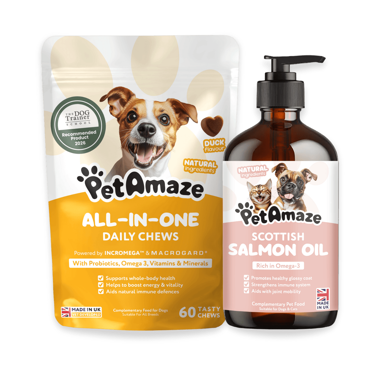 Daily Health Routine for Dogs