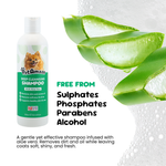PetAmaze dog shampoo bottle with aloe vera leaves on a white background