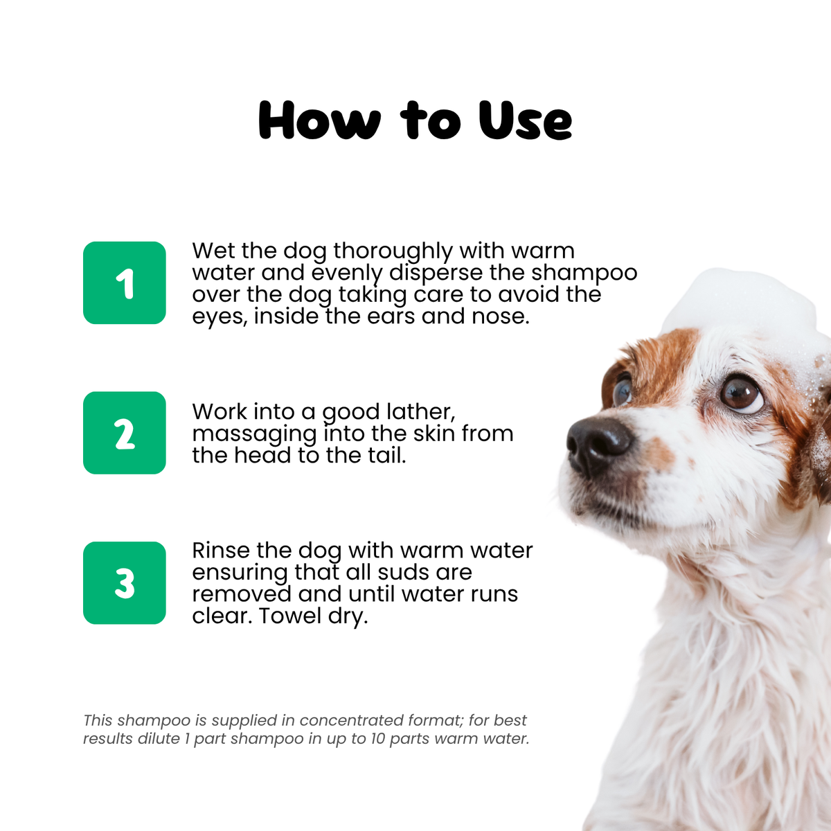 Dog being washed with shampoo instructions displayed on a white background