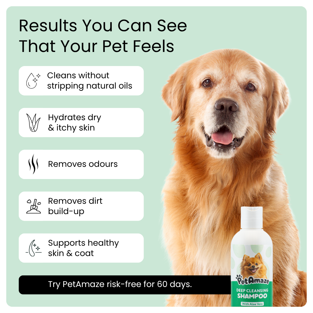 PetAmaze deep cleansing shampoo benefits