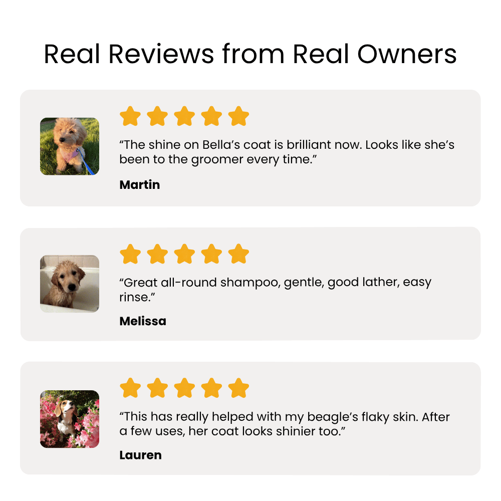 Reviews from real owners about a pet product, featuring images of a dog and text ratings.