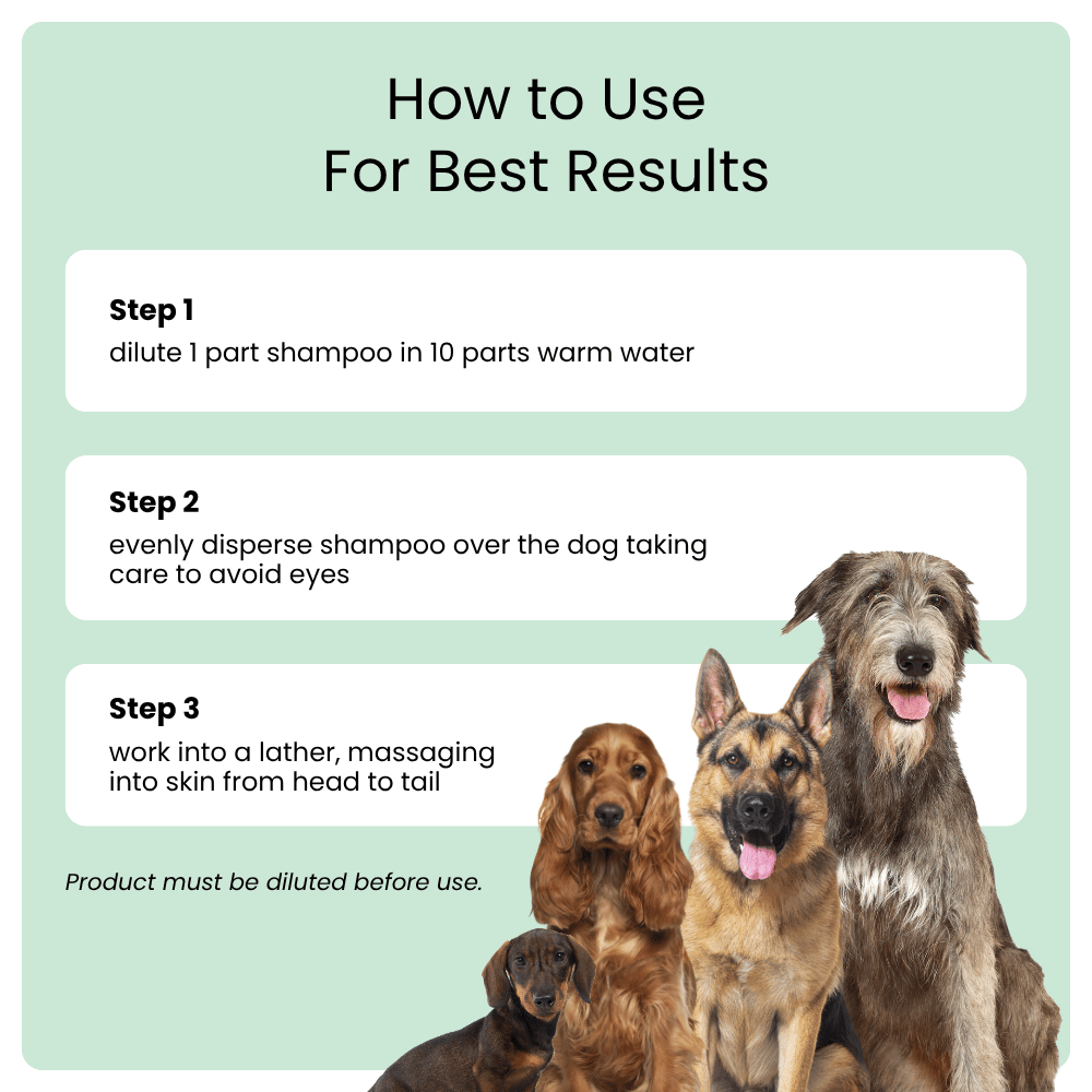 Instructions on how to use a product for dogs with images of four dogs and text on a light green background.
