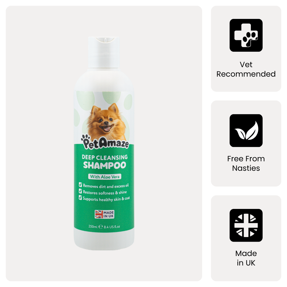 PetAmaze dog shampoo bottle with green label on a white background