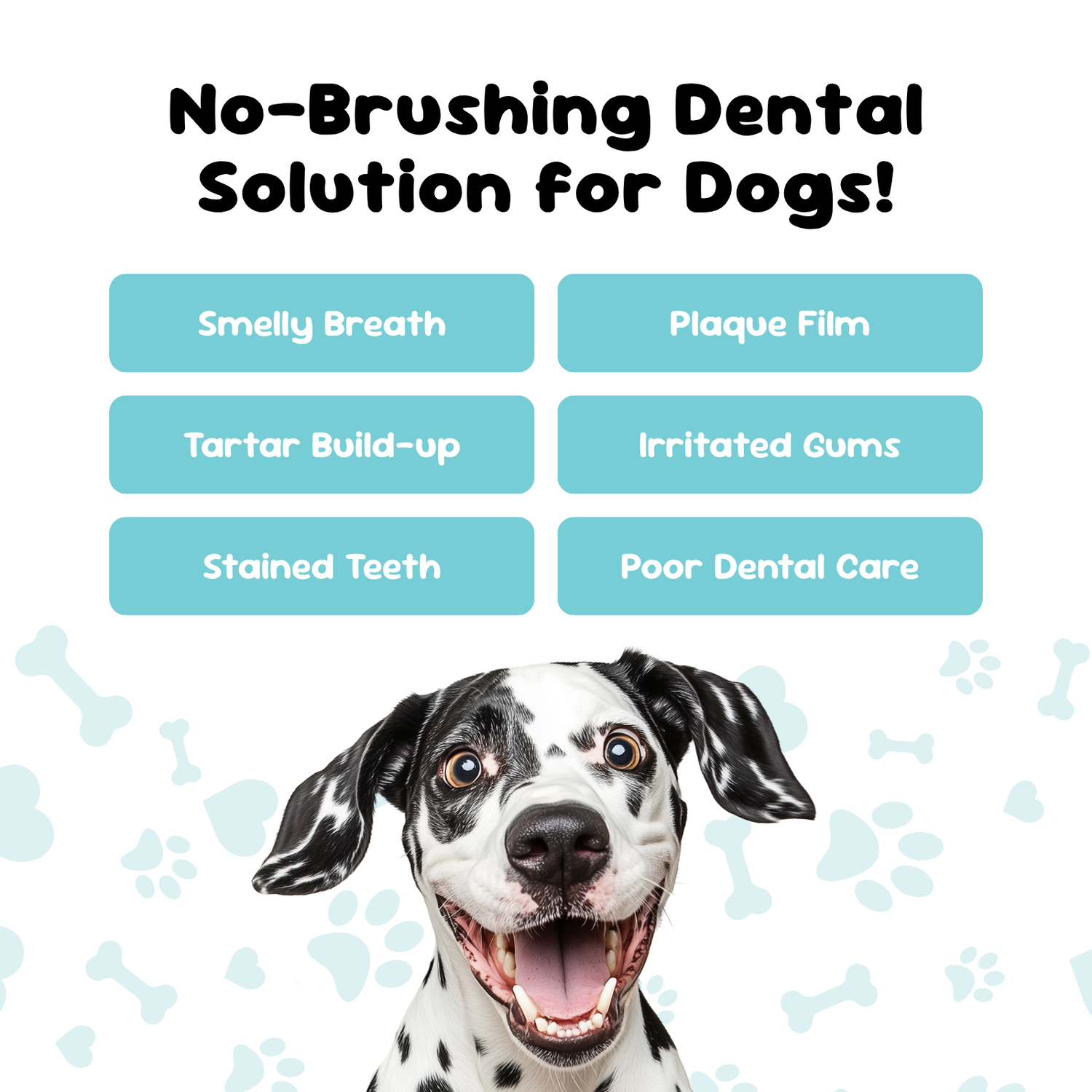 Dog with text about no-brushing dental solution for dogs on a light blue background with bones.