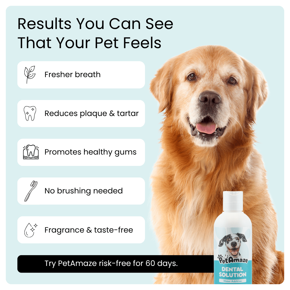 Dog with PetAmaze dental solution bottle on a light blue background