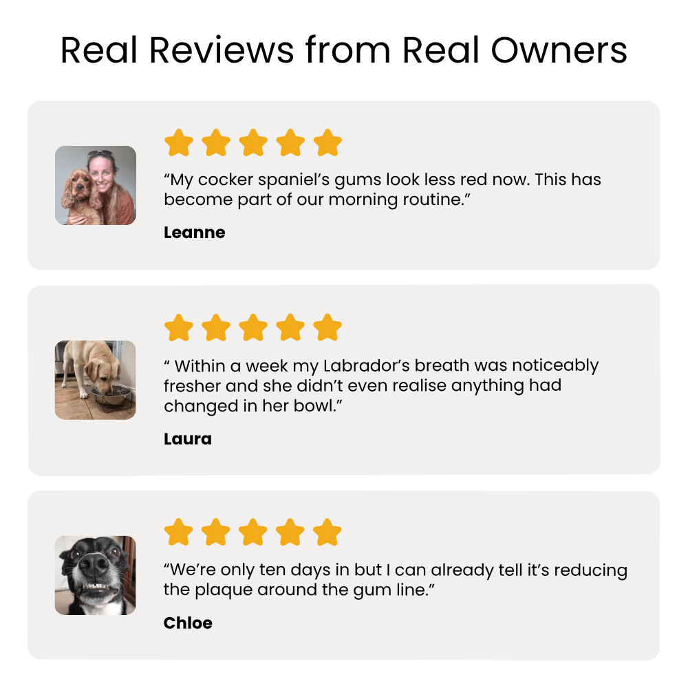 Reviews from real owners about a pet product on a white background