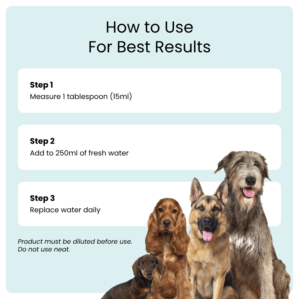 Instructions on how to use a product for dogs with images of four dogs.