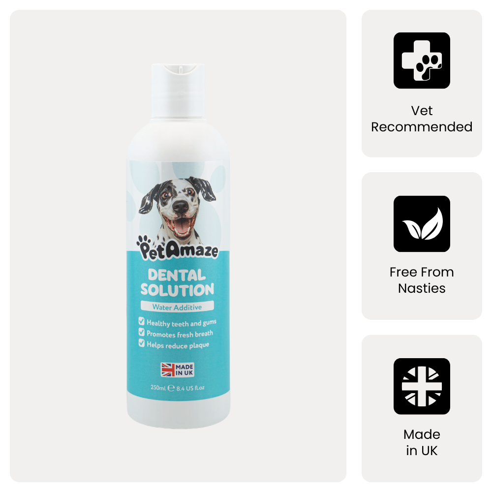 PetAmaze dental solution bottle with branding and product information on a white background