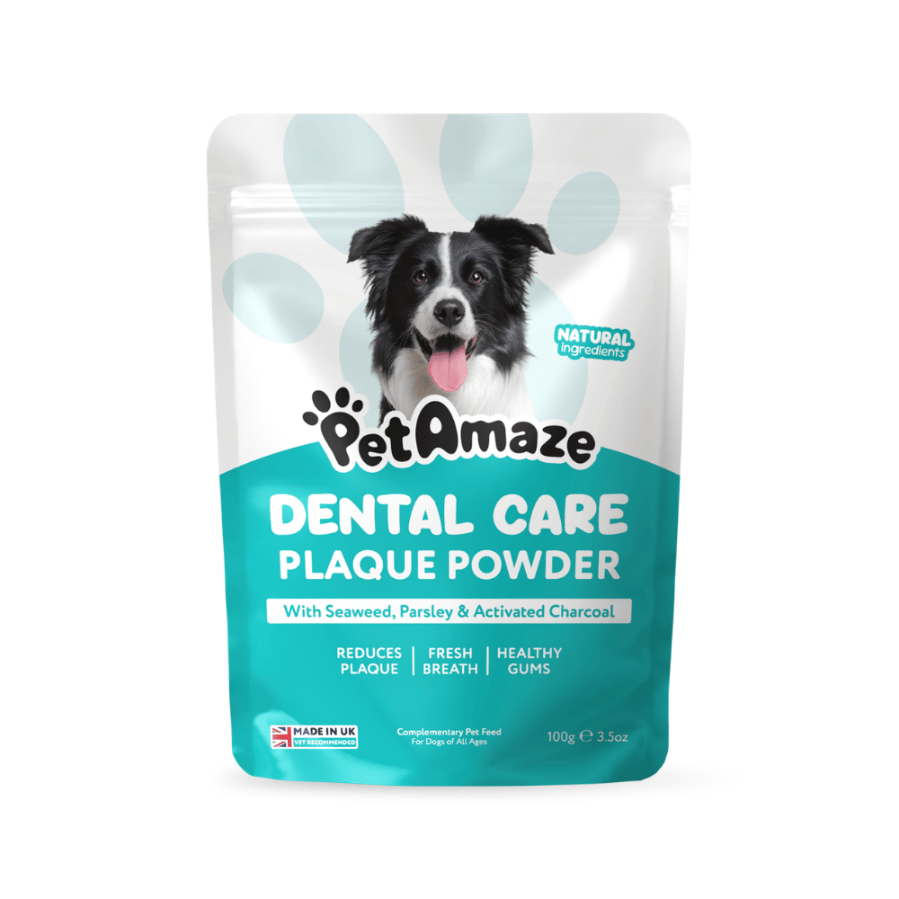 Dental Care Plaque Powder - 100g