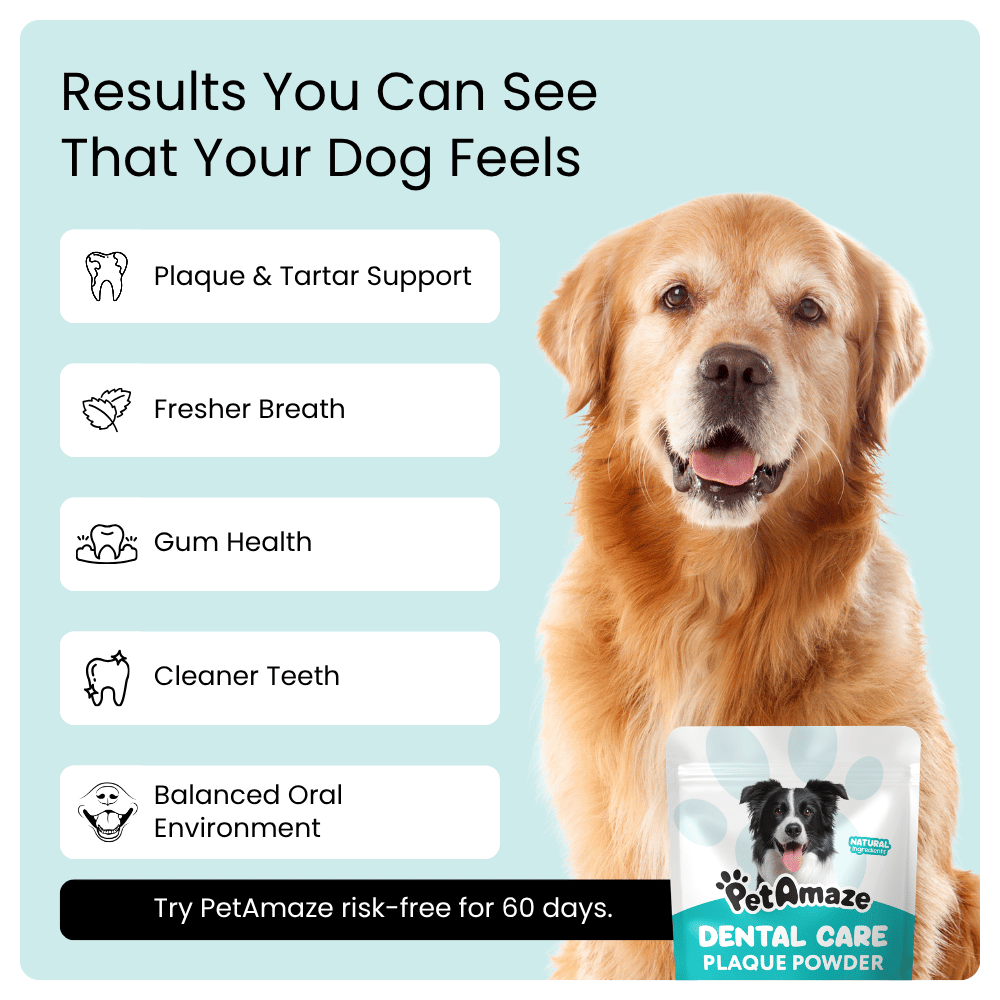 Promotional graphic for PetAmaze dog dental care plaque powder, featuring a golden retriever on a light blue background with text listing benefits like plaque and tartar support, fresher breath, gum health, cleaner teeth, and balanced oral environment. A small pouch of the product is shown in the lower right corner.
