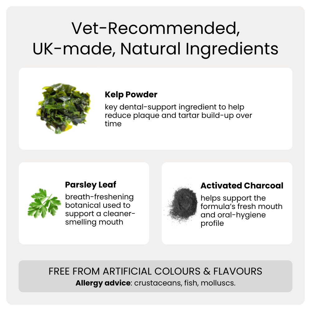 An informational graphic with the headline 'Vet-Recommended, UK-made, Natural Ingredients' on a light gray background. It shows three ingredient callouts: kelp powder with a green kelp cluster photo, parsley leaf with a green parsley leaf photo, and activated charcoal with a dark powder cluster photo.