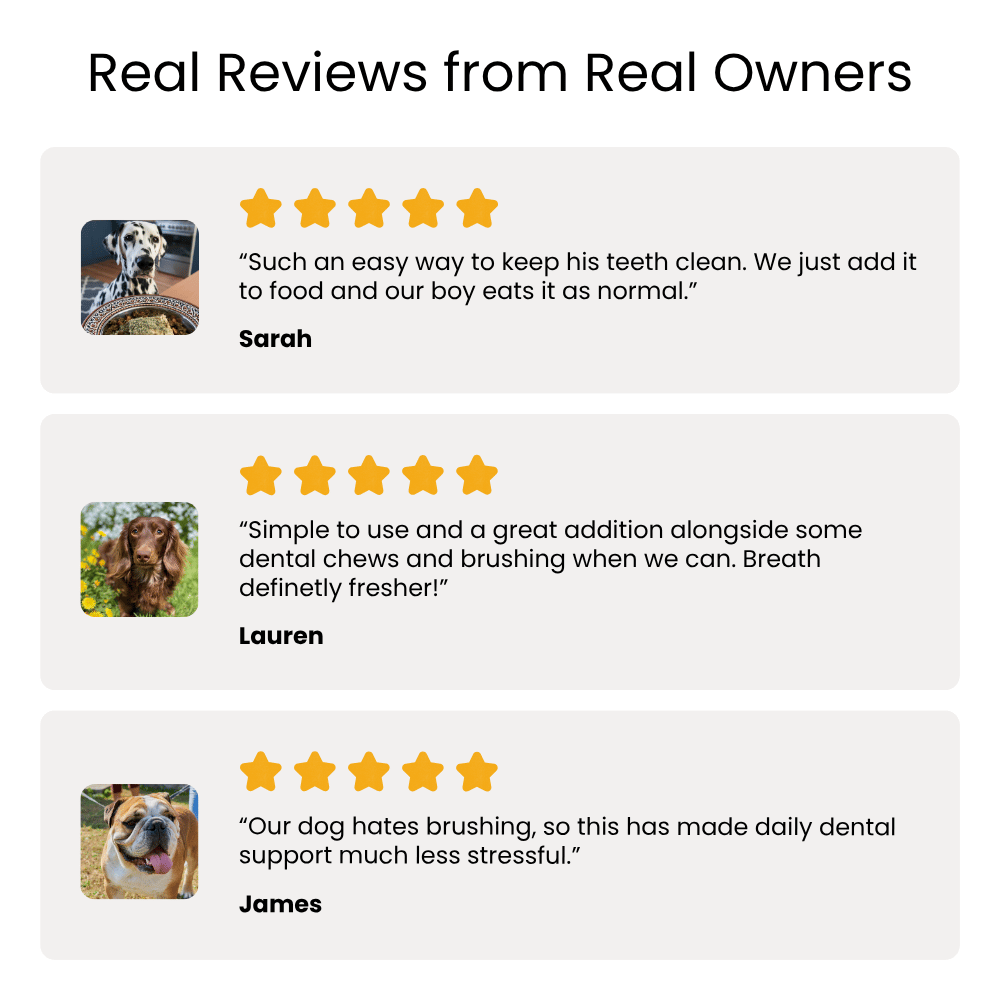 A promotional graphic with the heading 'Real Reviews from Real Owners' and three customer review cards showing dog photos, five-star ratings, quotes, and owner names Sarah, Lauren, and James.