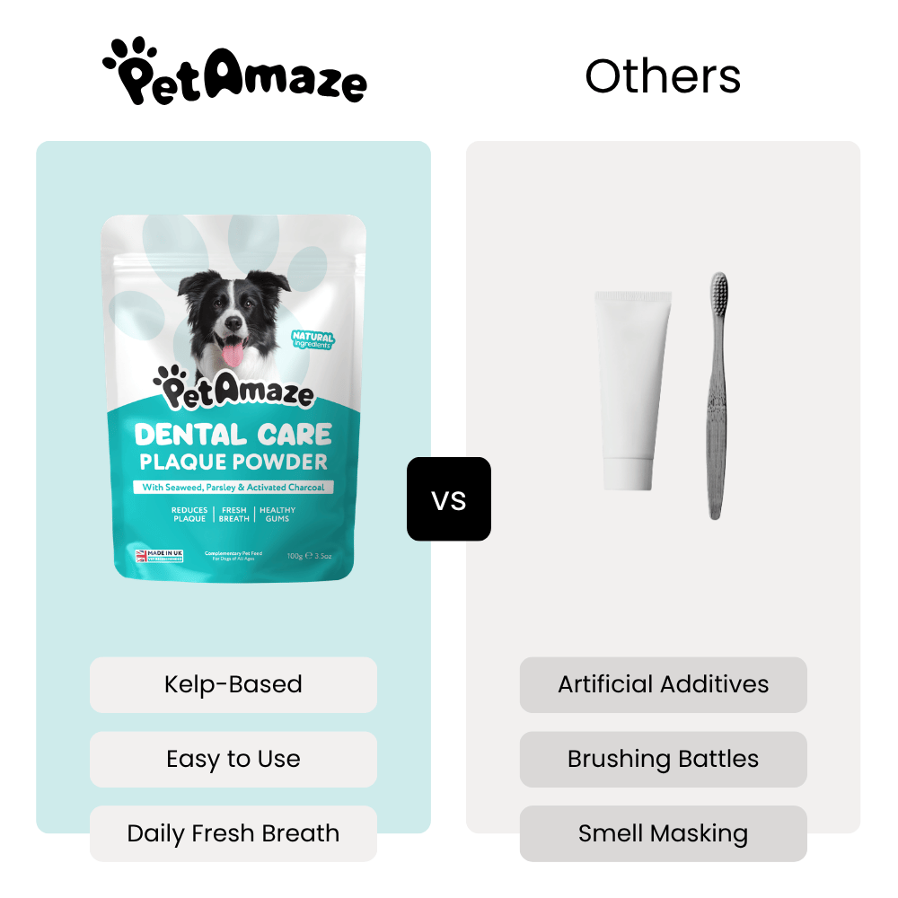 Dental Care Plaque Powder - 100g