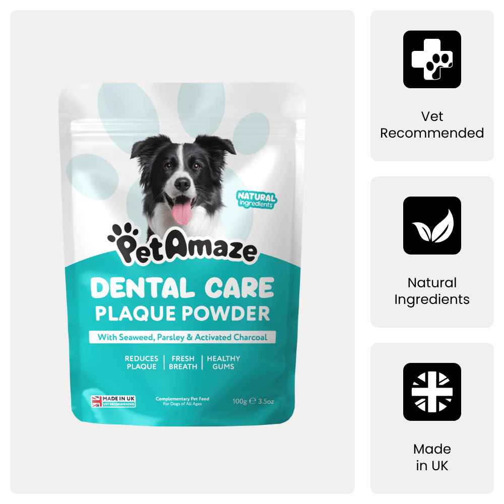 a pouch of petamaze dental care plaque powder