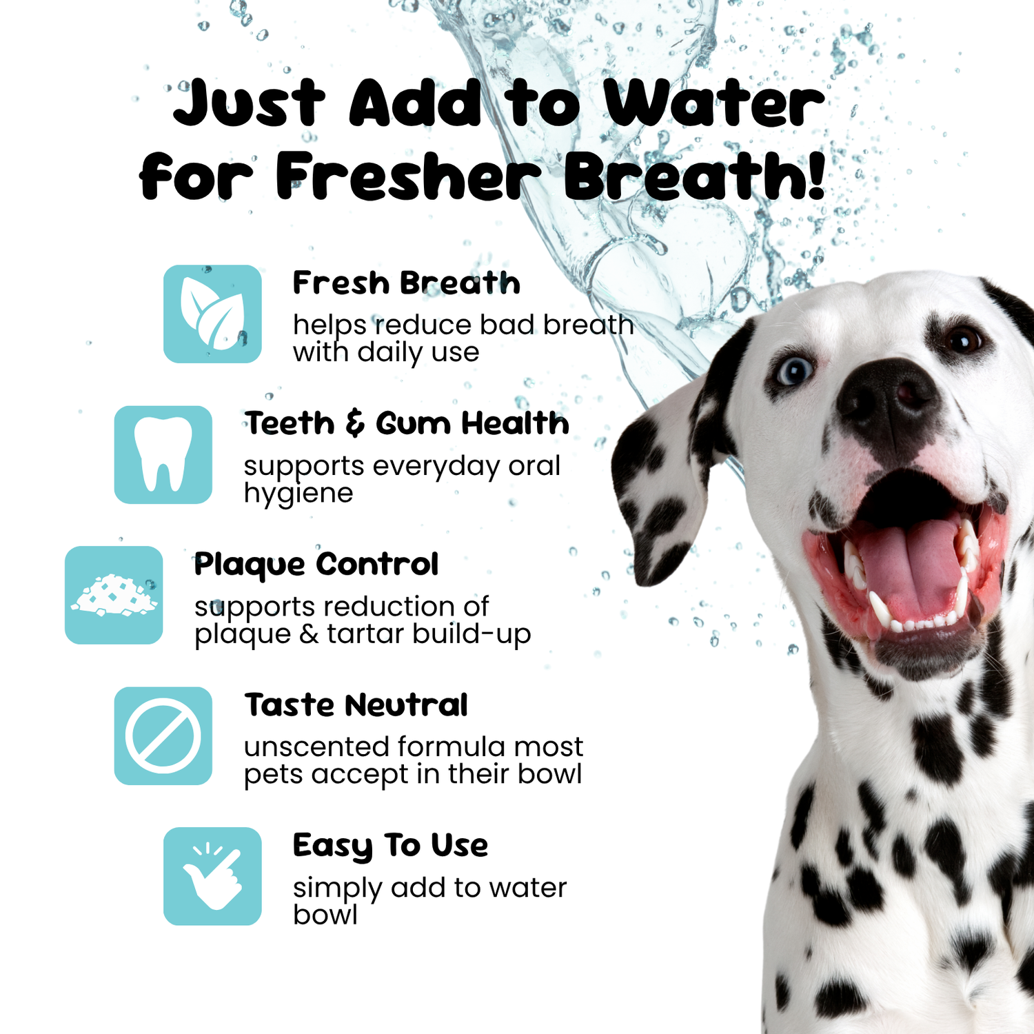 Dental Solution Water Additive – 250ml