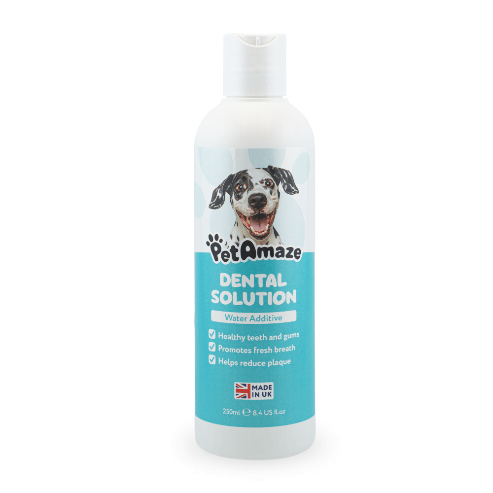 Dental Solution Water Additive – 250ml