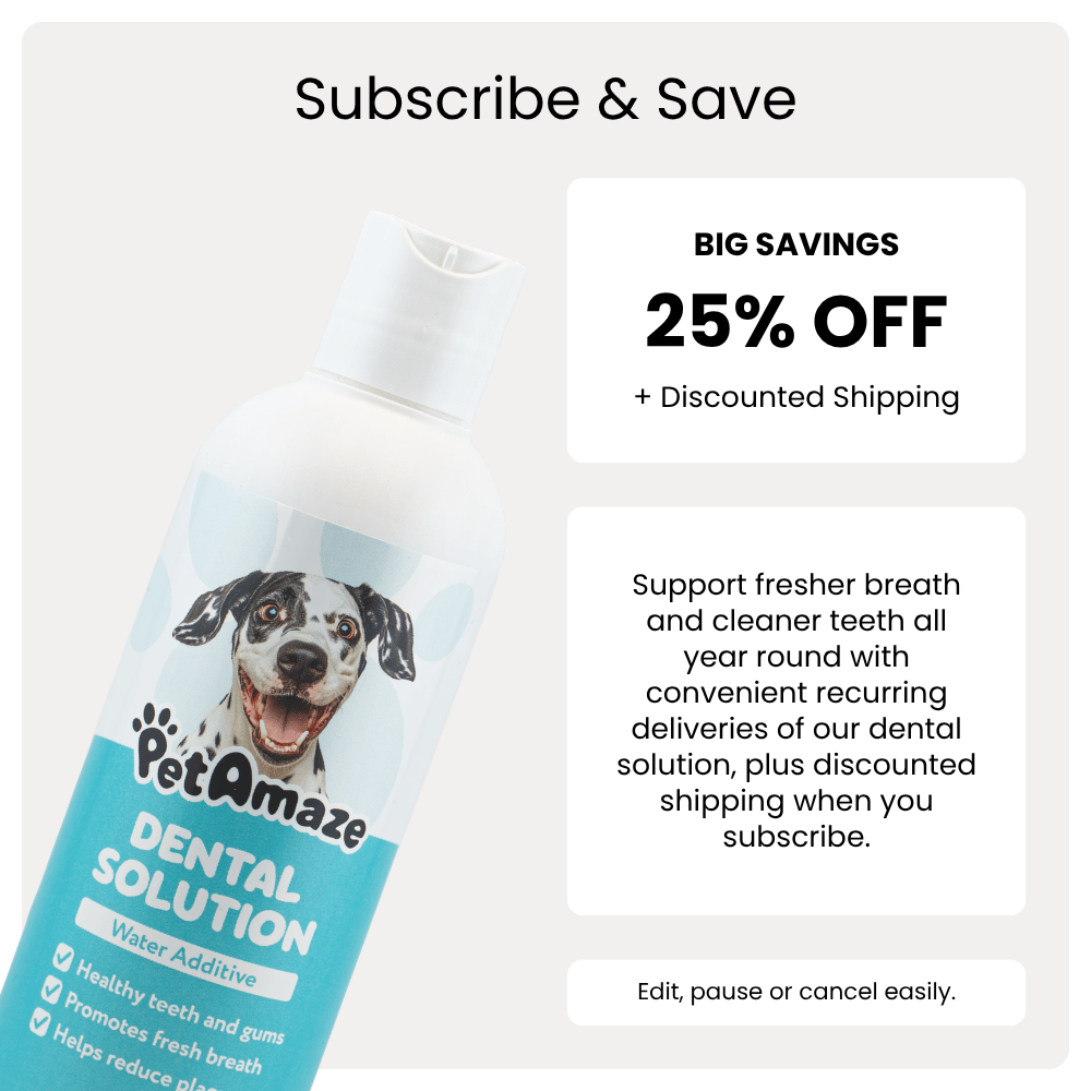 PetAmaze dental solution bottle with promotional text for subscribing and saving.