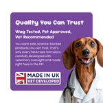 Dog in a white vet coat with text about quality, testing, and vet approval on a purple background