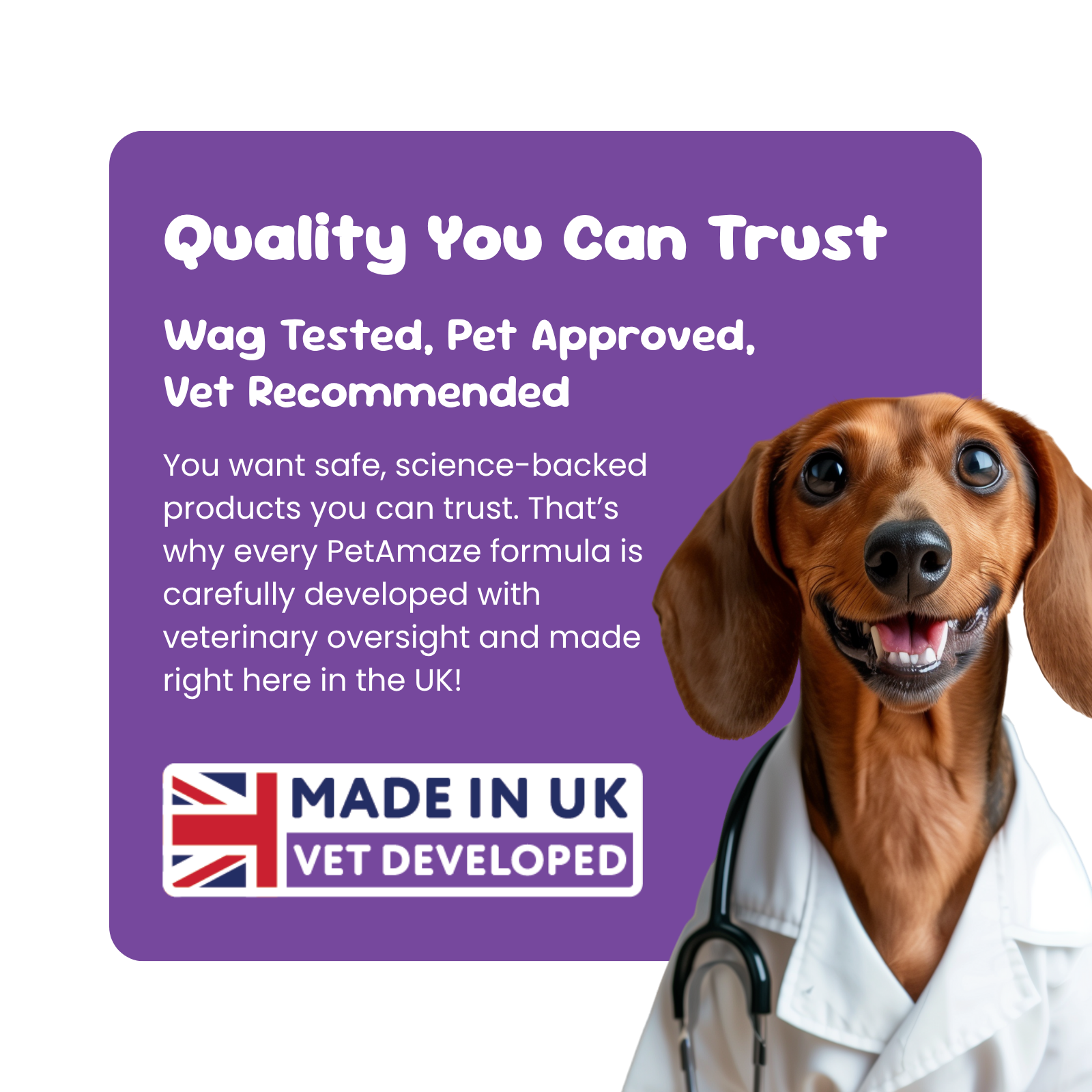 Dog in a white vet coat with text about quality, testing, and vet approval on a purple background